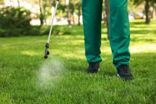 Pest Control Cost in San Martin, CA
