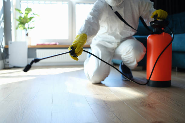 Professional Pest Control in San Martin, CA