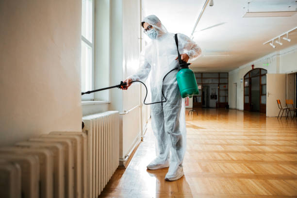 Best Rat Extermination Near Me  in San Martin, CA